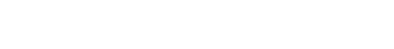 Momentum